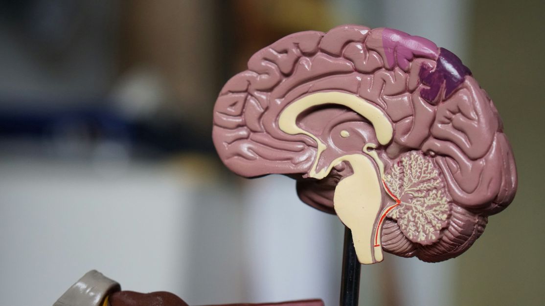 Dr. Kalil: Veja quais são os principais sintomas de tumores cerebrais
