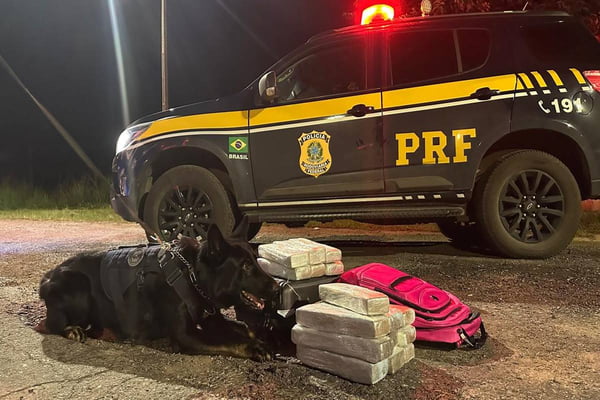 Cão da PRF acha 16 kg de maconha em mala de passageira de ônibus