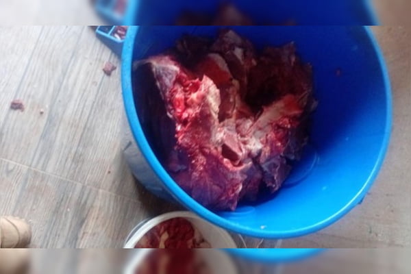 Carnes em lonas e baldes: açougue clandestino funcionava em casa no DF