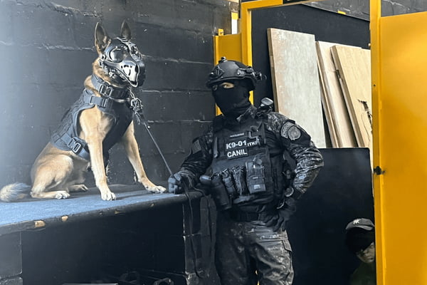 Vídeo: cão policial salta de paraquedas em treinamento da PM em SP