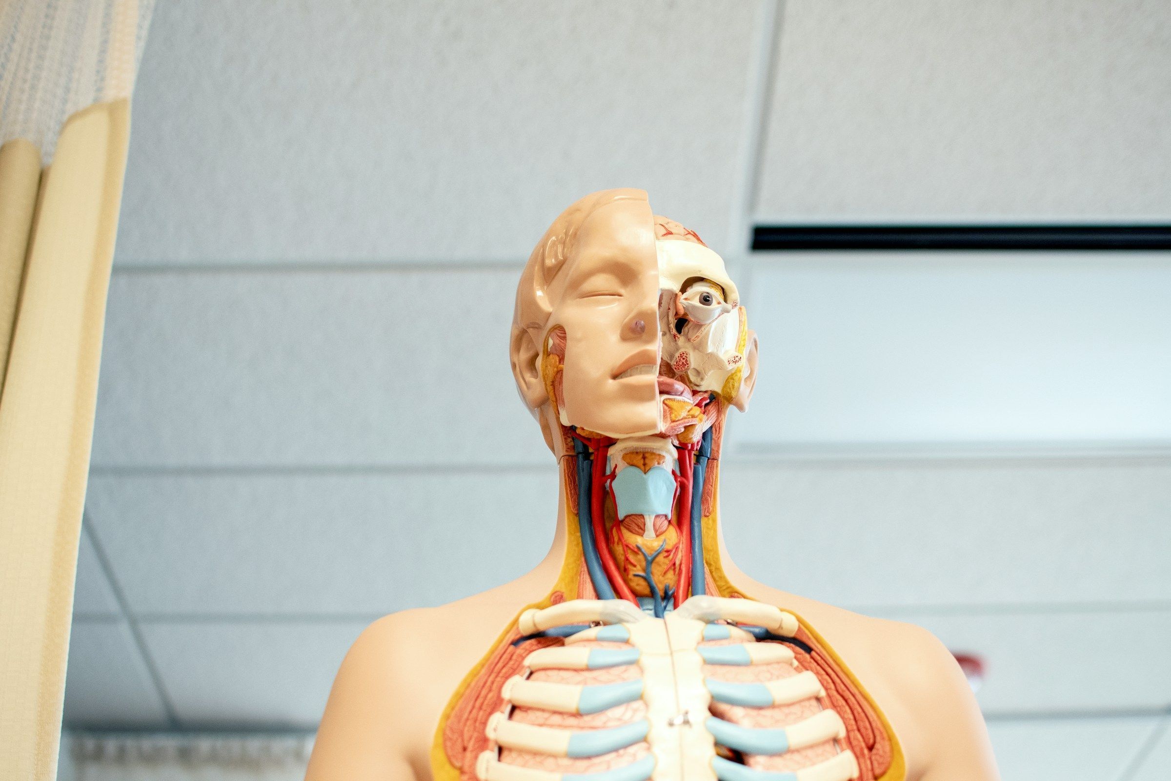Faculdade de Medicina de Petrópolis abre inscrições para vestibular