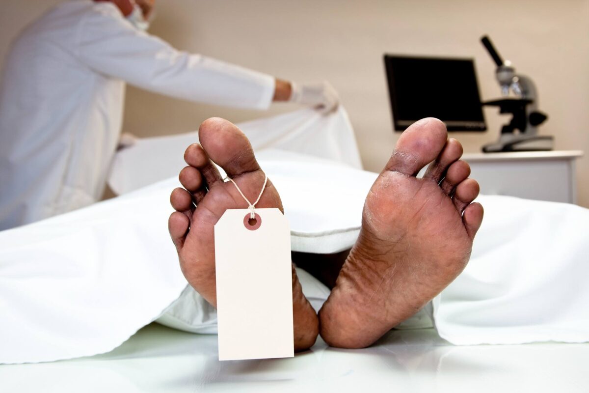 Múmia moderna? Veja técnicas e se você pode ser embalsamado pós-morte