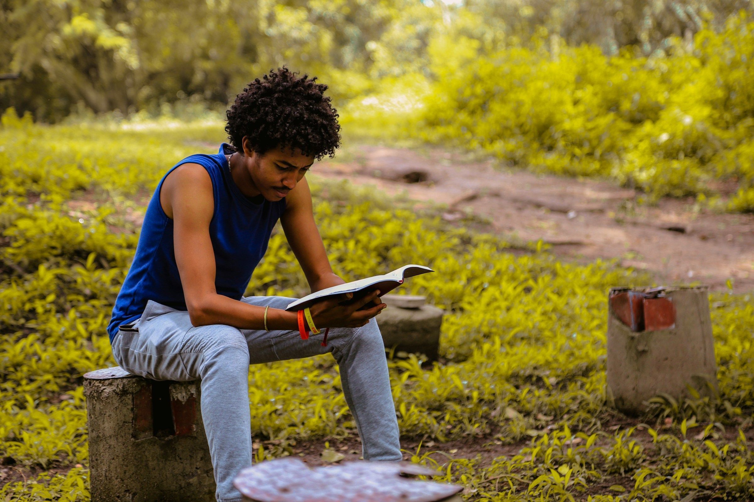 Afrodescendentes podem se inscrever em programa de treinamento na ONU