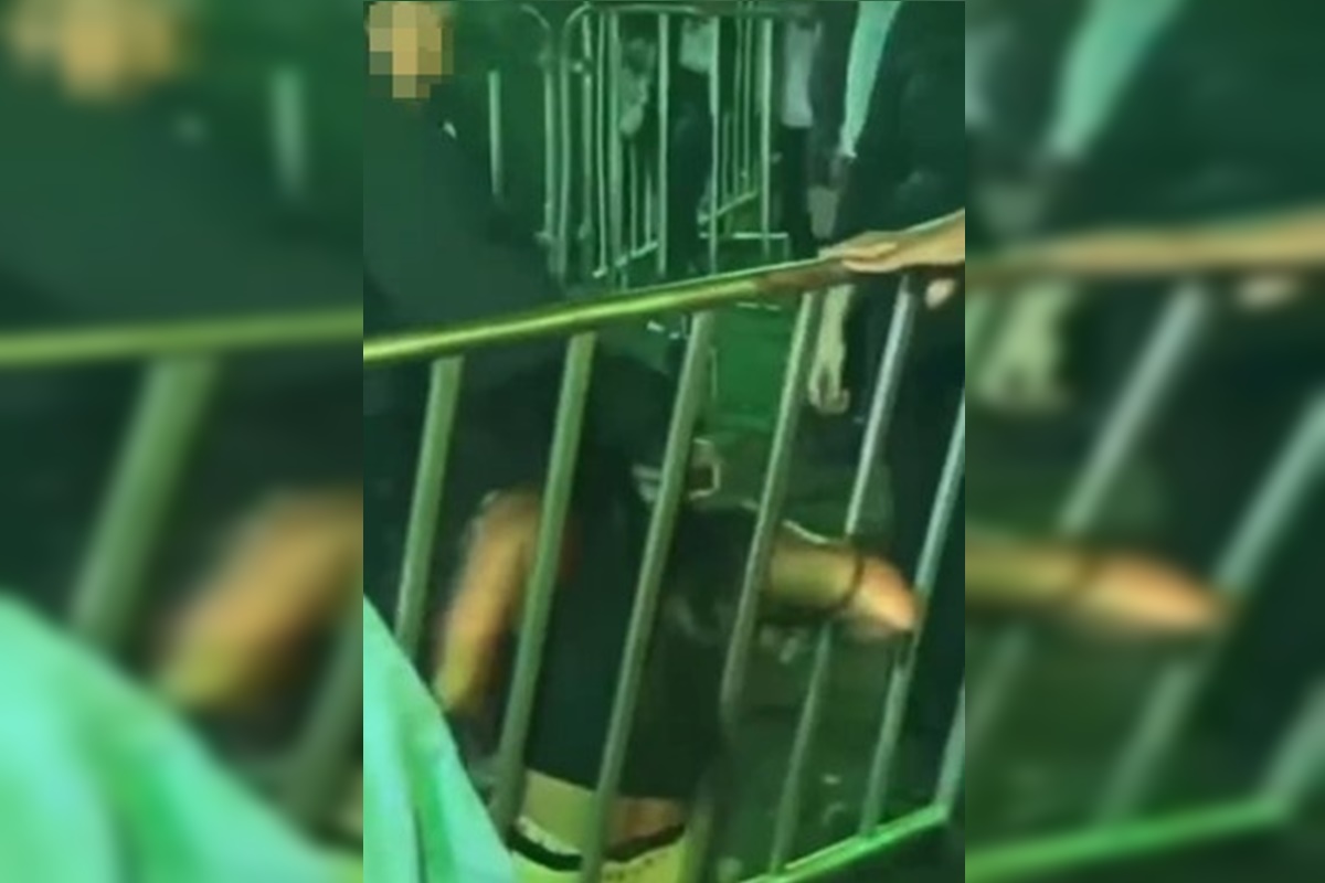 Pancadaria em rodeio: seguranças agridem técnica de enfermagem. Vídeo
