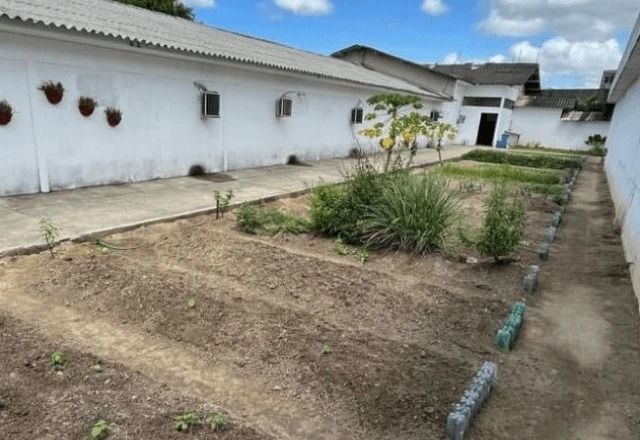 Collor está em sala com ar-condicionado, cama e banheiro privativo