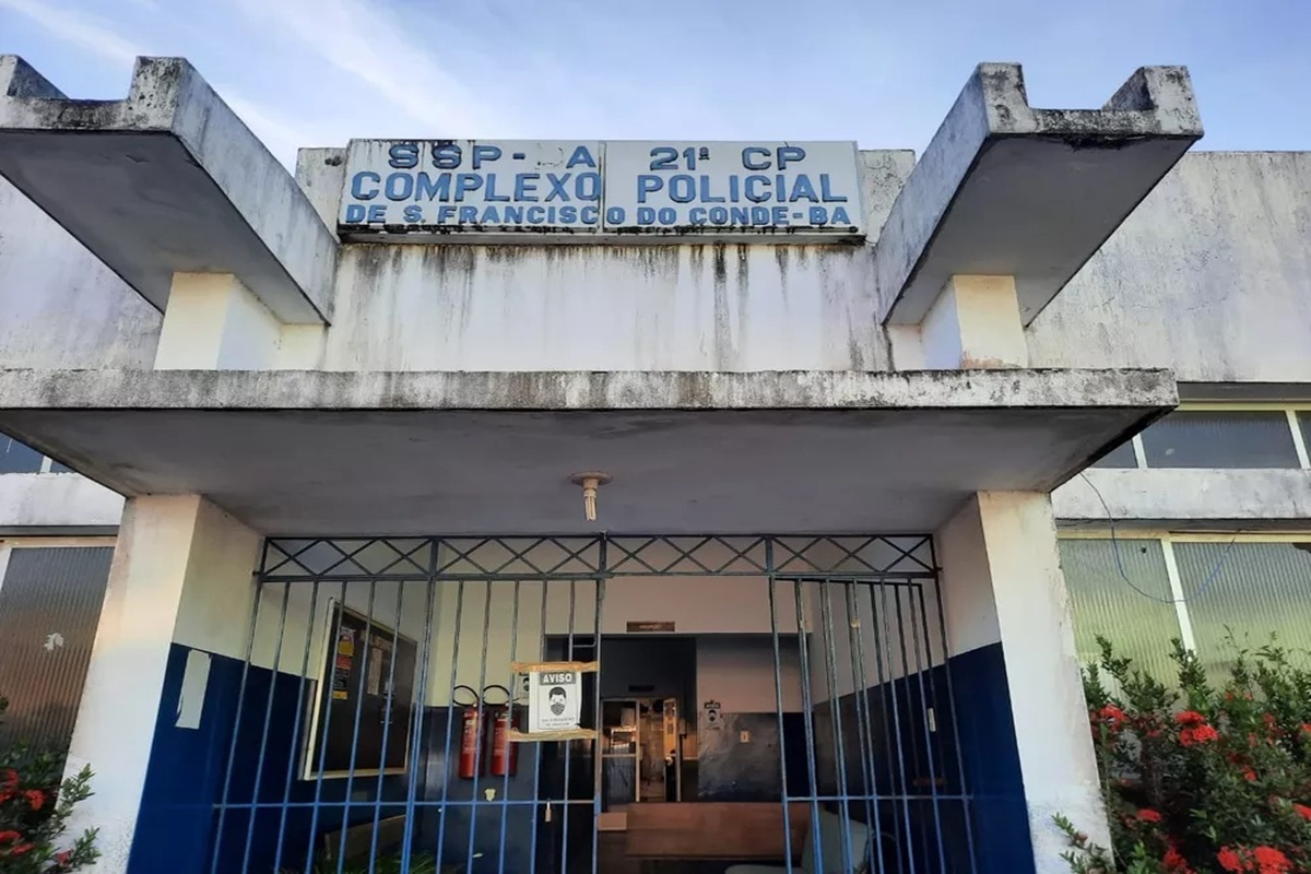 Corpo de homem enterrado e cão morto: caso macabro mobiliza polícia
