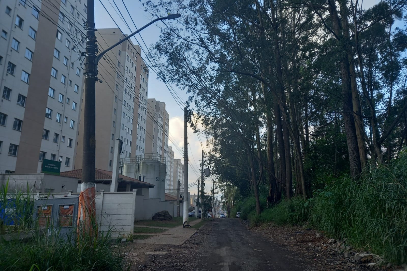 Aranhas de grande porte invadem zona leste e levam pânico a moradores
