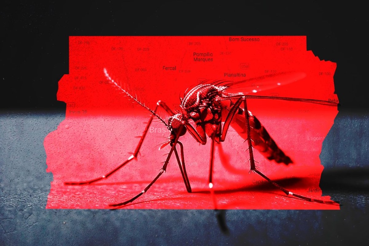 Dengue: Saúde do DF fica em alerta para provável avanço do tipo 3