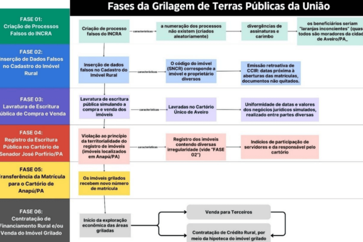 Grupo de grilagem de terras no Pará lucrou R$ 1 bilhão, diz PF