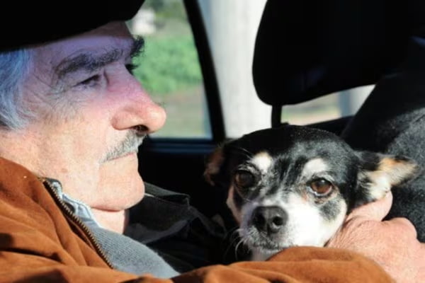 Entenda como a cadela Manuela marcou a vida de Pepe Mujica