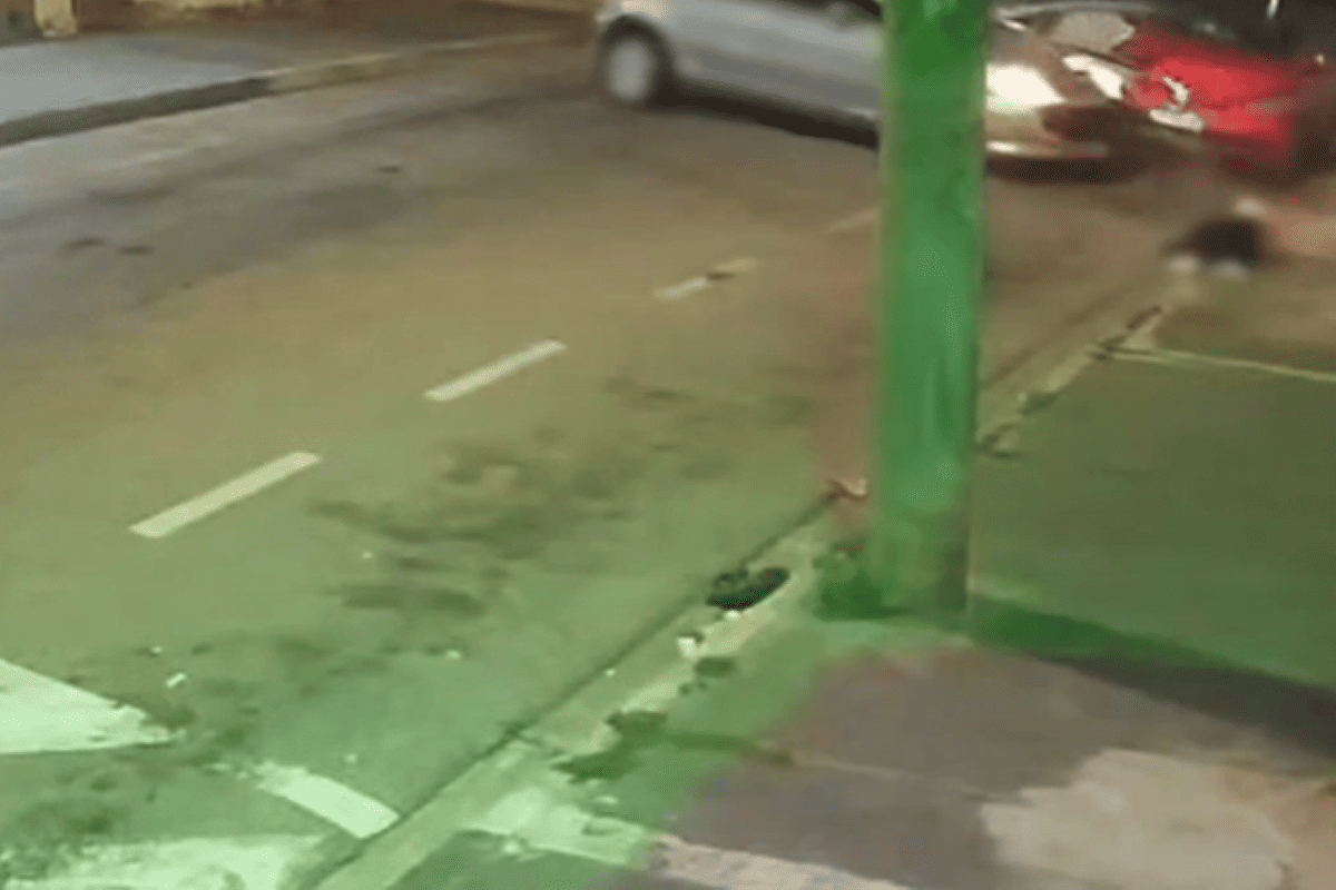 Motorista bêbada acelera em marcha à ré e mata homem atropelado. Veja