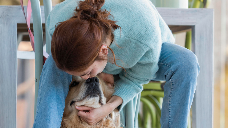 Cão de suporte emocional: o que é e como auxilia no bem-estar humano