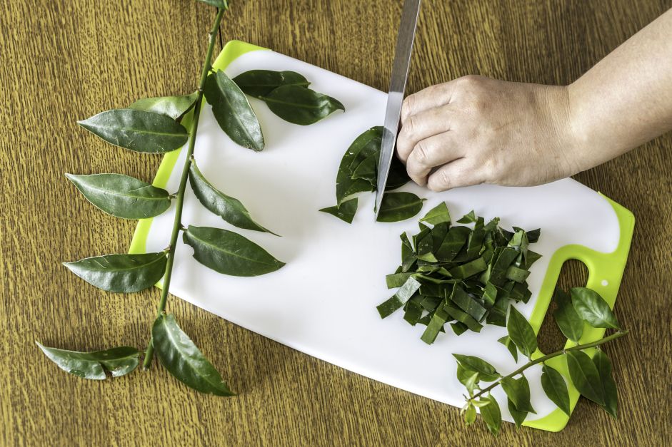 Ora-pro-nóbis é fonte de proteínas: como incluir planta na alimentação