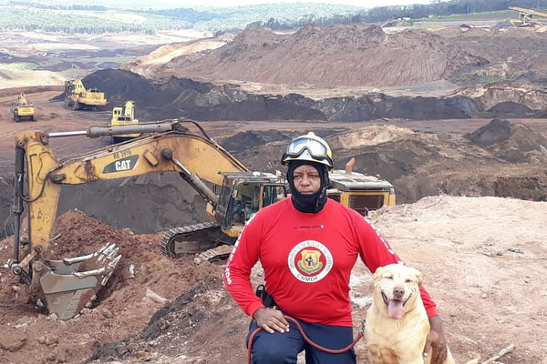 Morre Thor, labrador herói das buscas em Brumadinho, aos 12 anos