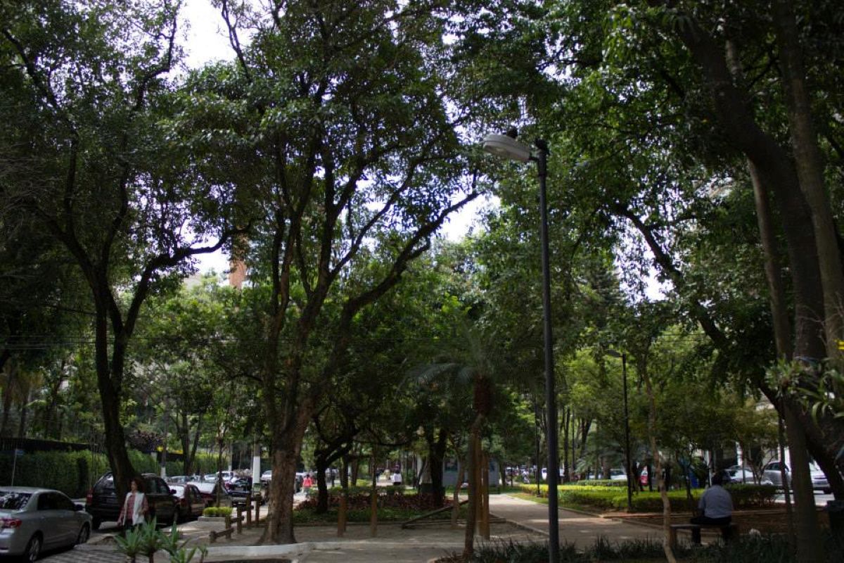 São Paulo tem 5 dos 10 bairros mais valorizados do país. Veja ranking