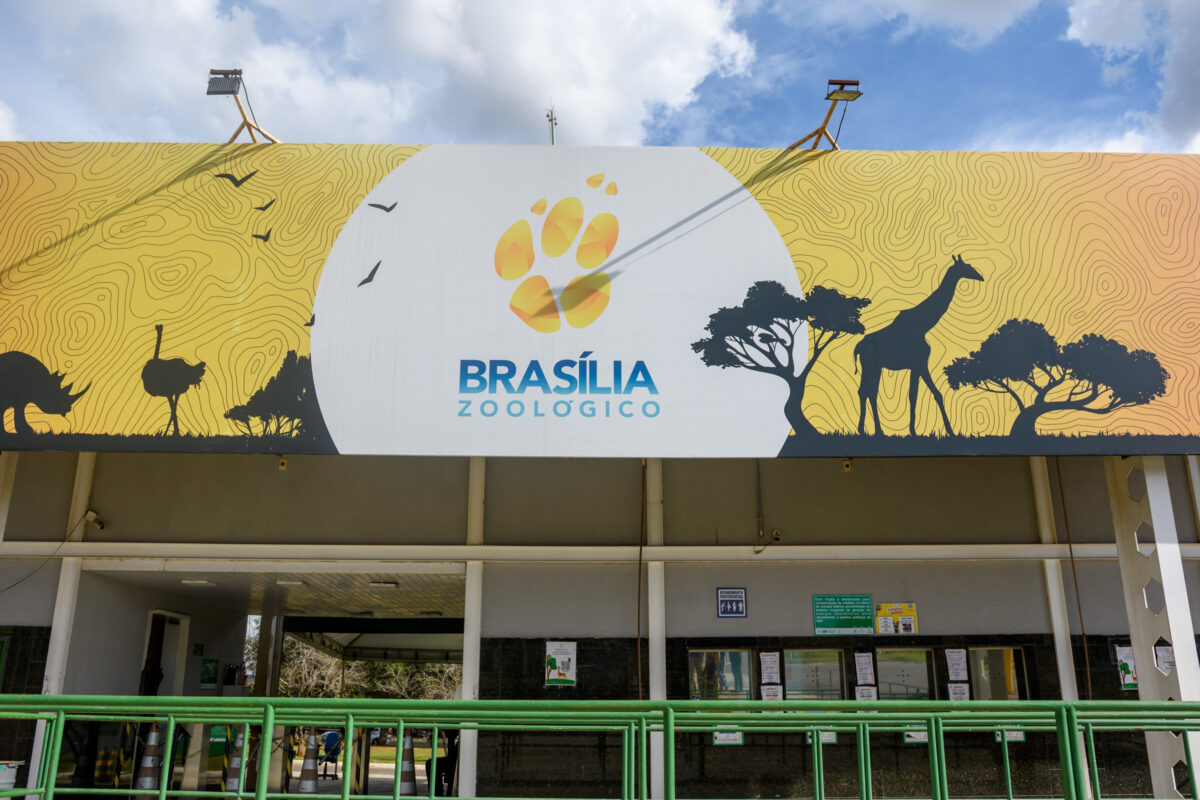 Ave que testou positivo para gripe aviária era do plantel do Zoo do DF
