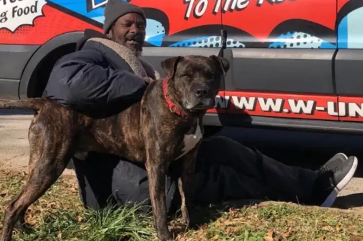 Herói! Morador de rua arrisca a vida e salva cães e gatos de incêndio