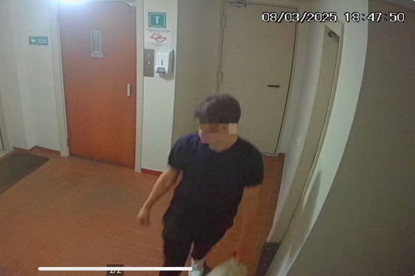 Polícia apreende menor que admitiu invasão de 40 imóveis em SP. Vídeo
