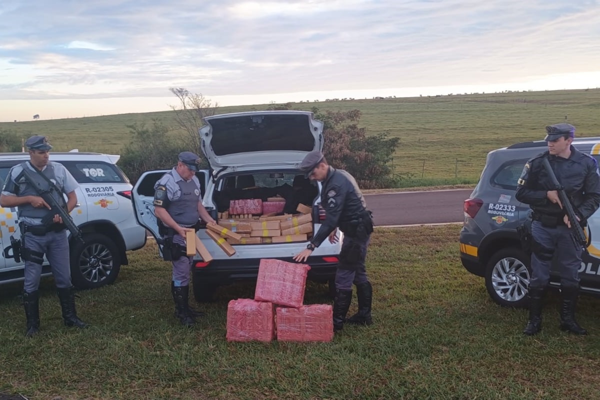 Traficante de 19 anos entope T-Cross com 840 kg de maconha em SP