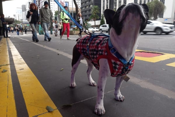 Frio segue em São Paulo? Confira a previsão do tempo para este sábado