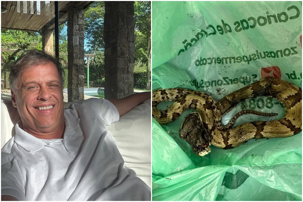 Ator de A Viagem que vive em floresta faz alerta após picada de cobra