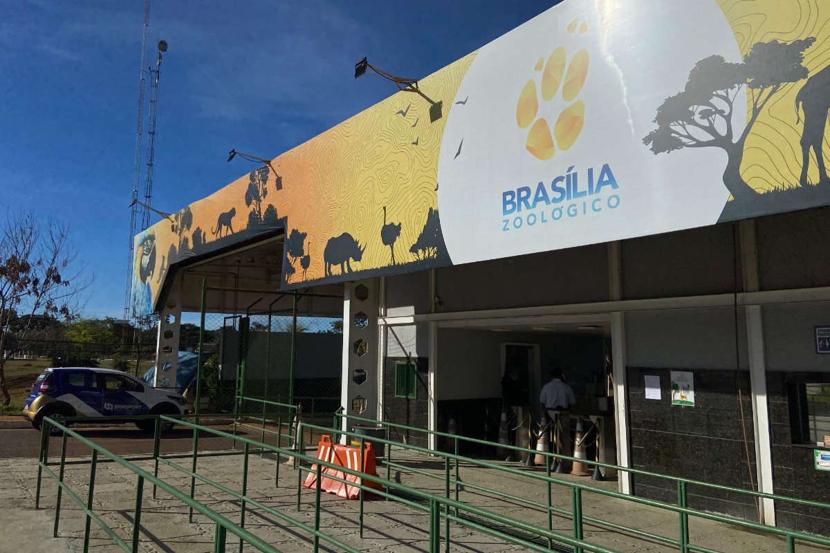 Gripe aviária: zoo diz que visitantes não correm risco de contaminação