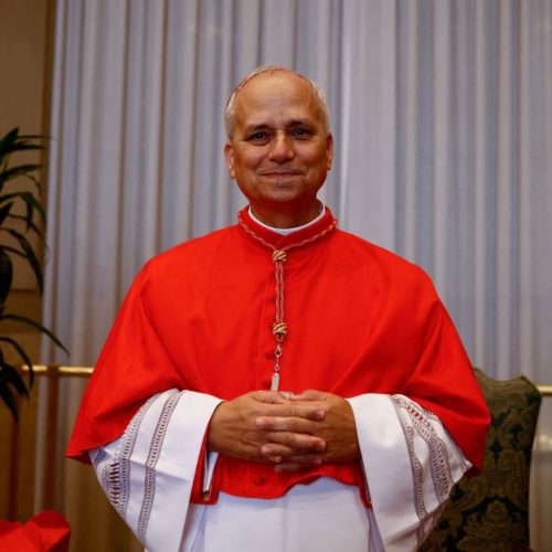 Papa Leão XIV: conheça escolas agostinianas no Brasil