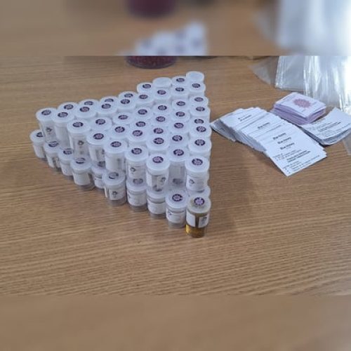 Aluna de veterinária da UnB é presa por traficar droga Blue Honey