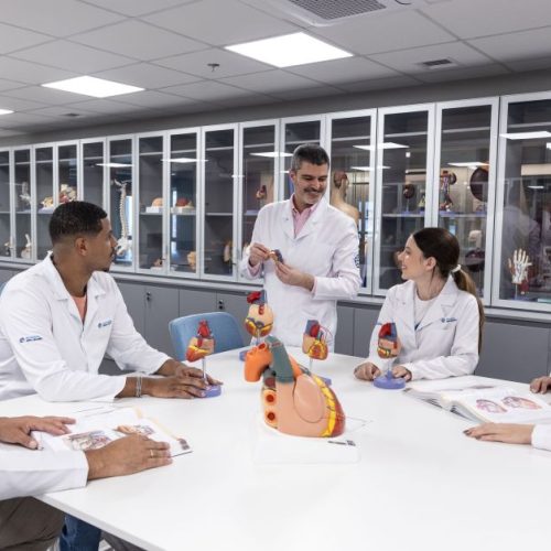 Faculdade Sírio-Libanês está com inscrições abertas para curso de medicina