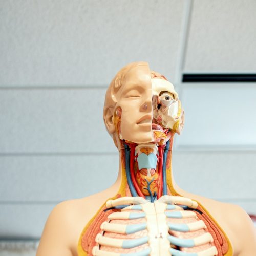 Faculdade de Medicina de Petrópolis abre inscrições para vestibular