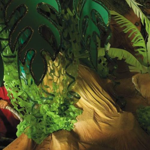 Como é pilotar um carro alegórico no Carnaval