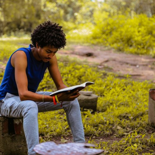 Afrodescendentes podem se inscrever em programa de treinamento na ONU