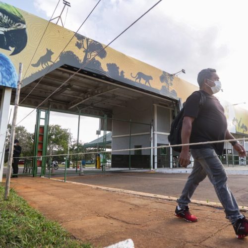 Gripe aviária: animal sacrificado fazia parte do plantel do Zoo do DF
