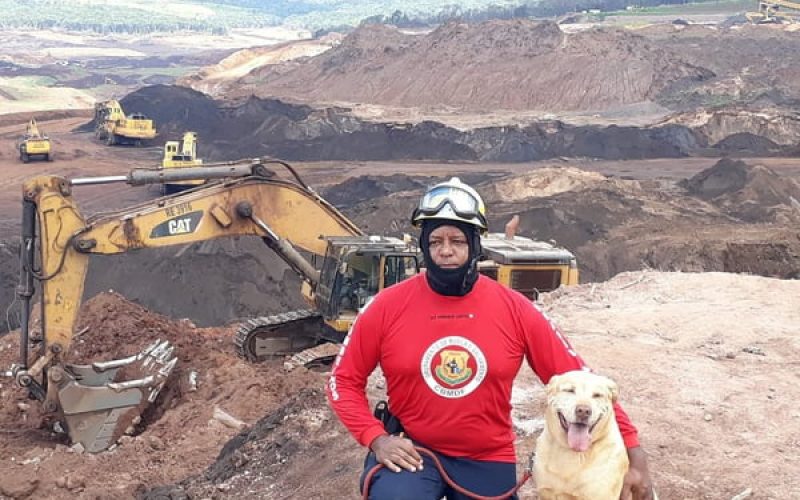 Morre Thor, labrador herói das buscas em Brumadinho, aos 12 anos